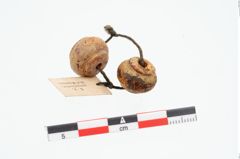 Foto von Bernsteinringperle (NHMW-PRAE-026285)